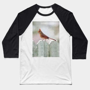 Female Cardinal Snowy Day Baseball T-Shirt